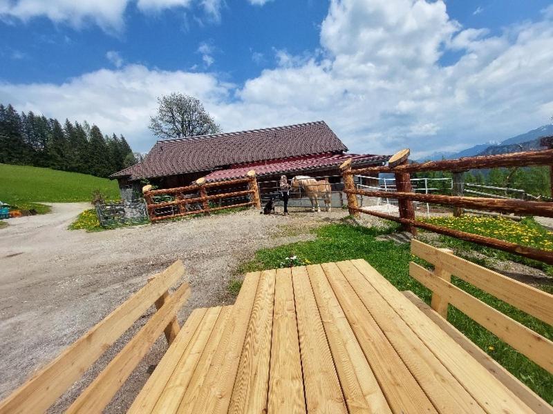 الشقق الفندقية Schwemmbergفي  Kohlegghof المظهر الخارجي الصورة