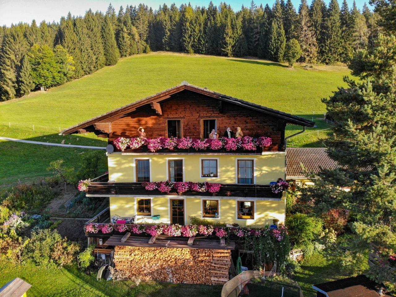 الشقق الفندقية Schwemmbergفي  Kohlegghof المظهر الخارجي الصورة